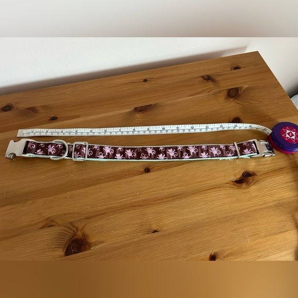 Dog Collar - Picture 7 of 8